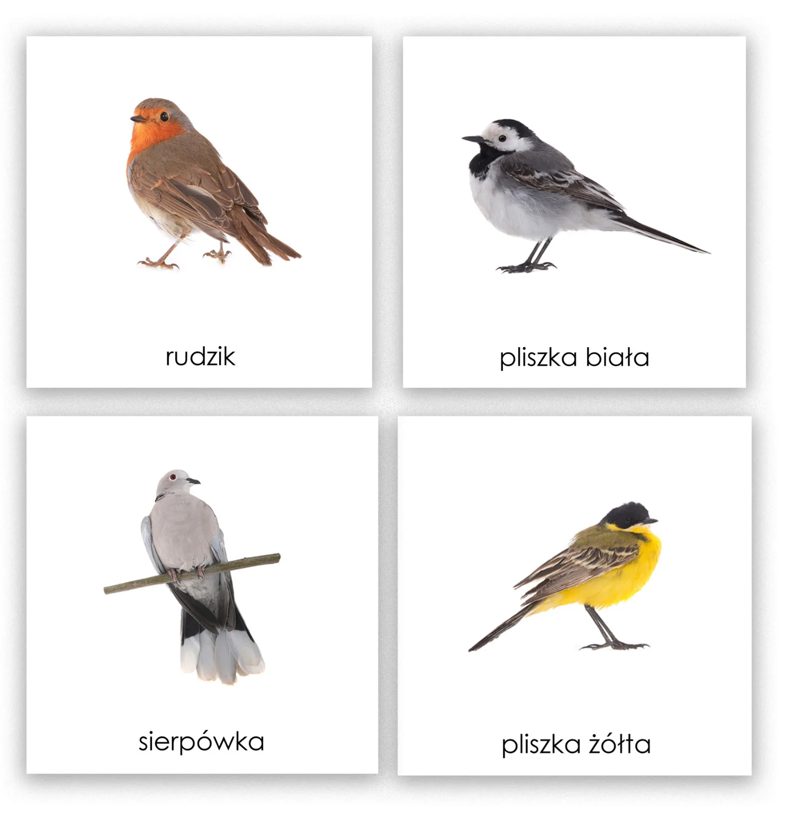 Zdjęcie produktu
