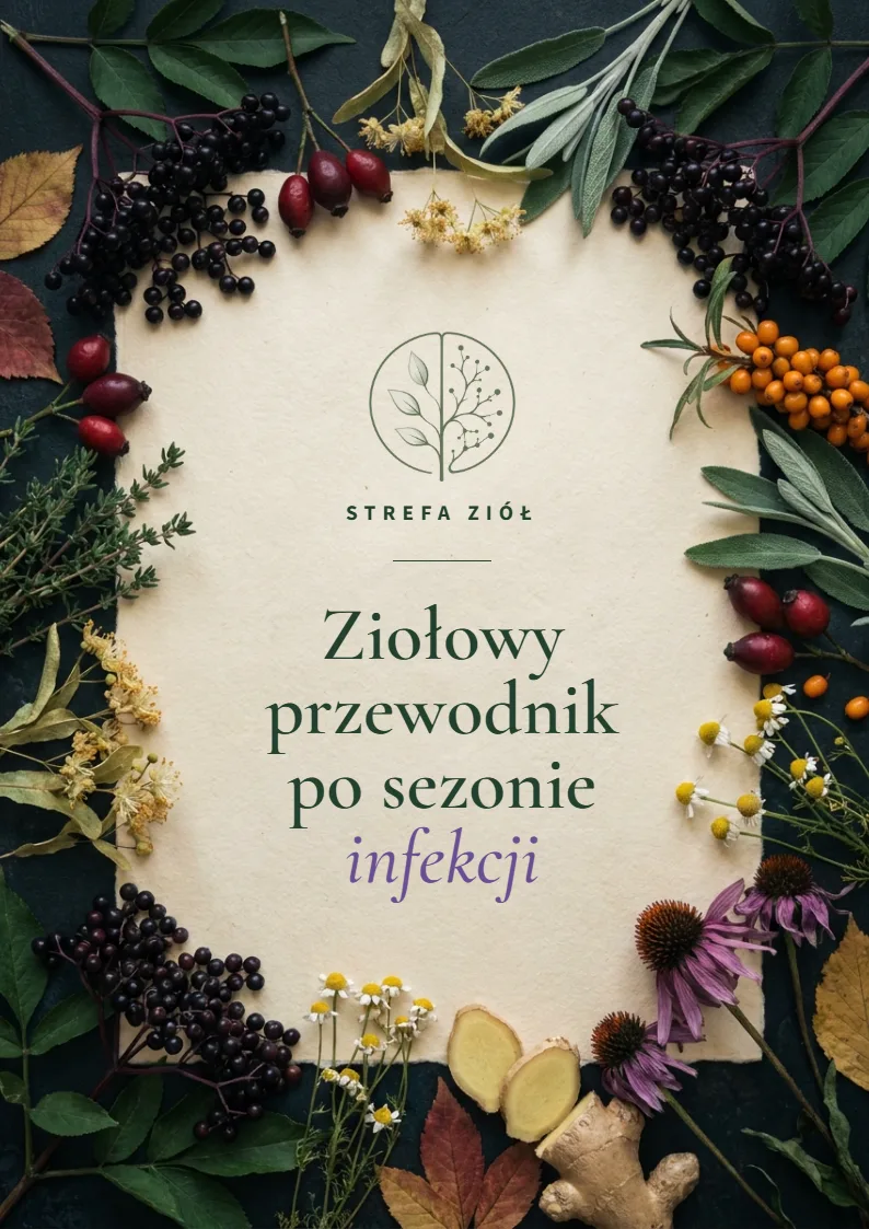 Zdjęcie produktu
